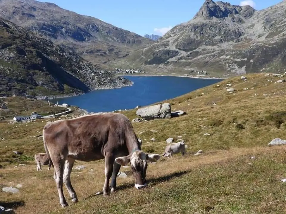 Mansarda Vista Lago A Campodolcino